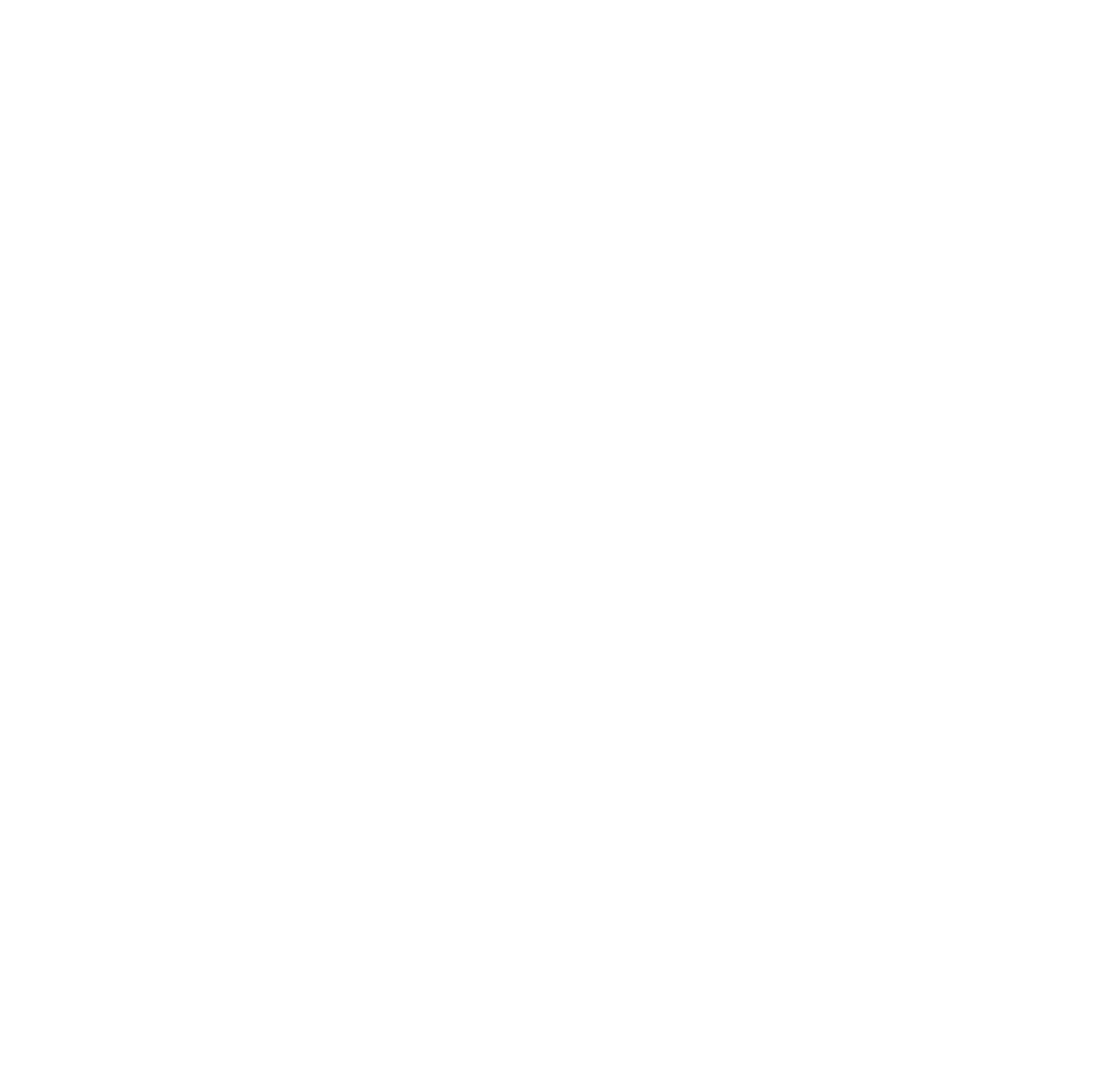 Lit